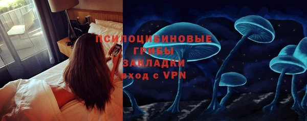 гашик Абаза