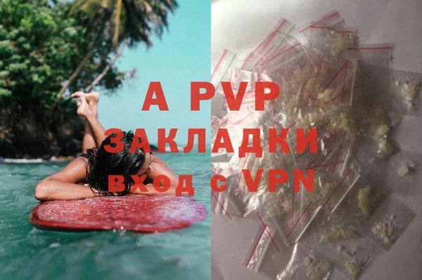 метадон Алексин