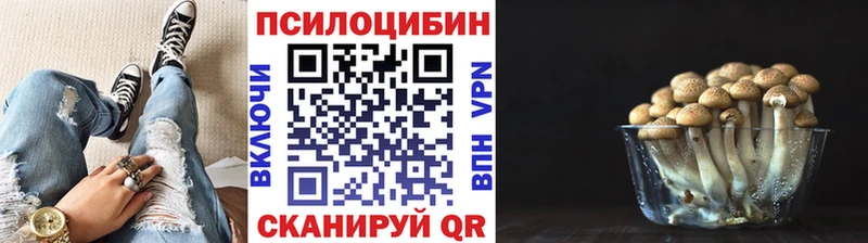 Псилоцибиновые грибы Cubensis  маркетплейс телеграм  Курск  купить наркотик 