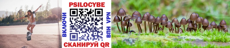 Псилоцибиновые грибы Psilocybine cubensis Курск